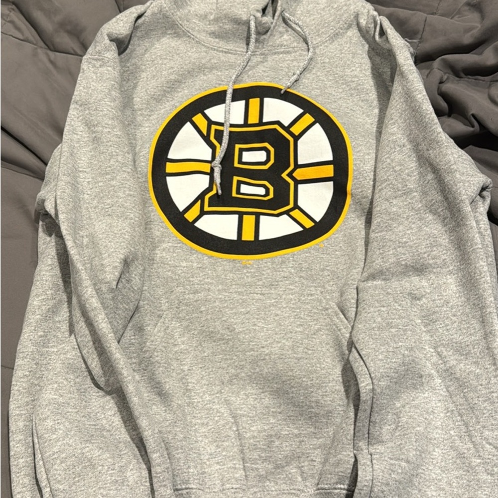 Boston Bruins Gray NHL Hoodie